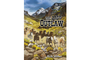 THE LAST OUTLAW ~ RICK STEBER